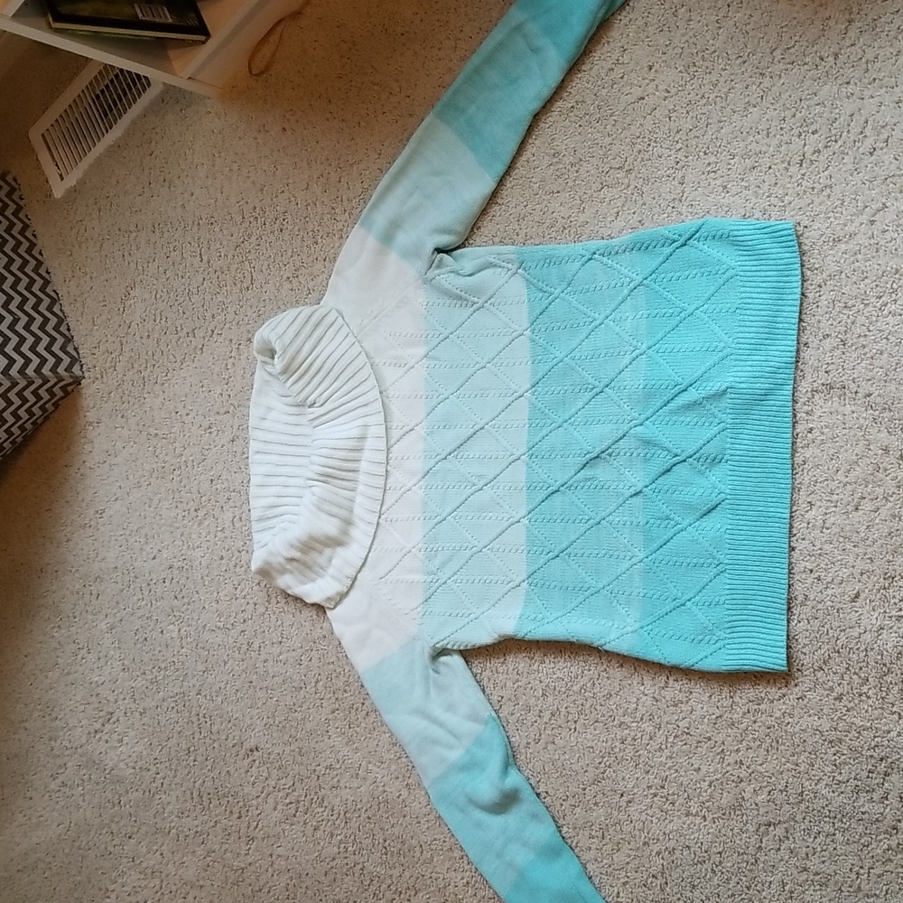 New York & Company green cowl neck sweater